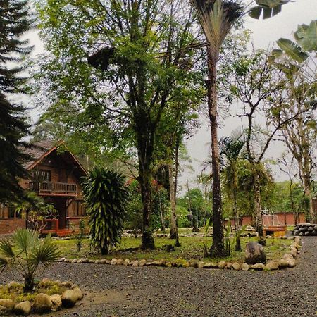 Hosteria Sapos Y Ranas Milpe Ngoại thất bức ảnh
