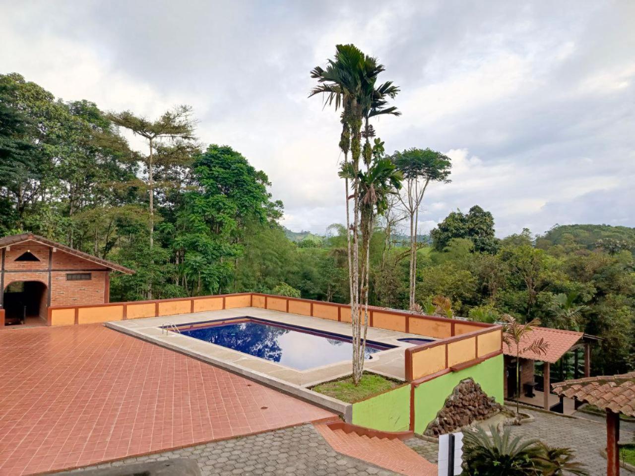 Hosteria Sapos Y Ranas Milpe Ngoại thất bức ảnh